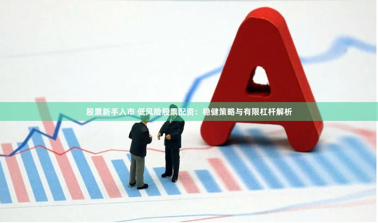 股票新手入市 低风险股票配资：稳健策略与有限杠杆解析