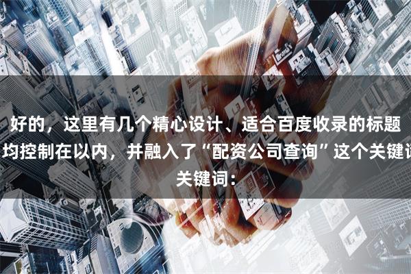 好的，这里有几个精心设计、适合百度收录的标题，均控制在以内，并融入了“配资公司查询”这个关键词：