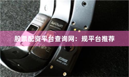 股票配资平台查询网：规平台推荐