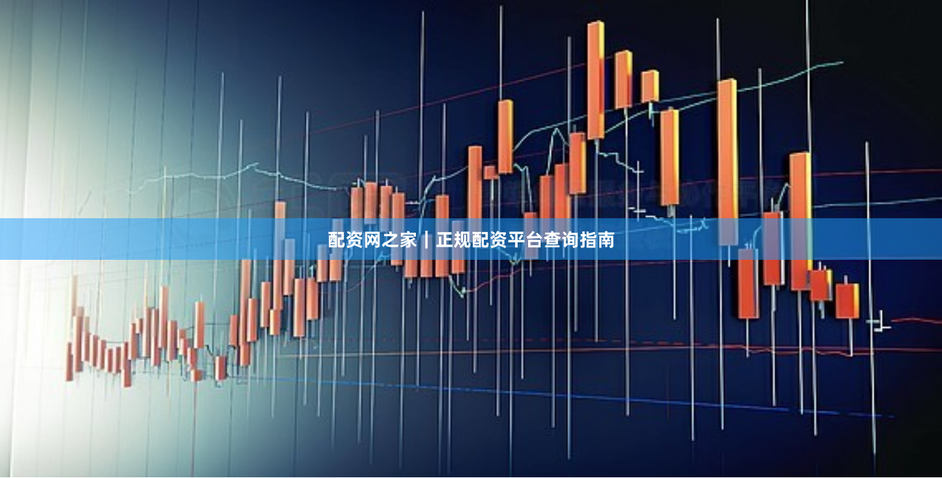 配资网之家|正规配资平台查询指南